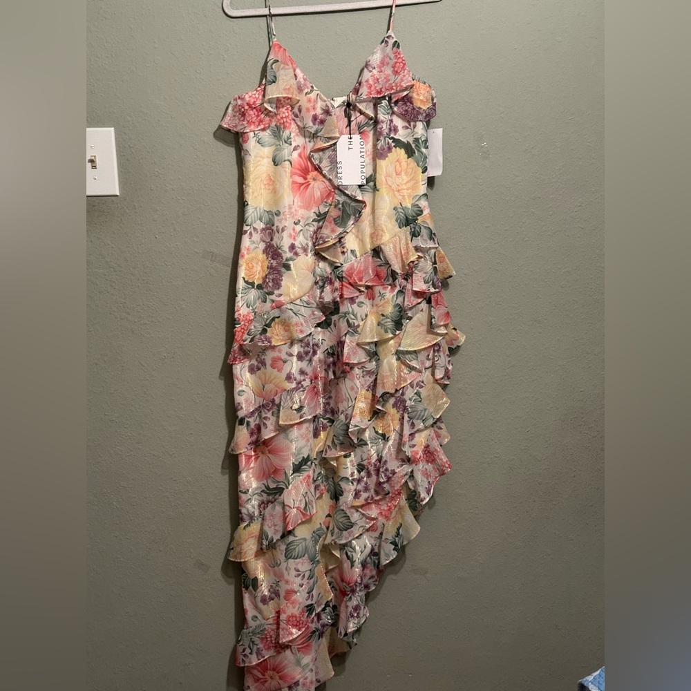 NWT DRESS THE POPULATION Josefina Dress Floral
Ruffle Detail Gown in Ivory Multi - Picture 8 of 16